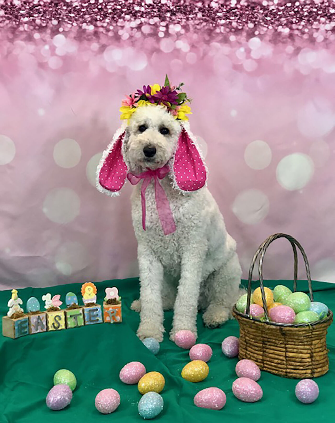 Hoppy Easter!